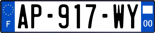 AP-917-WY