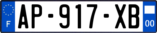 AP-917-XB