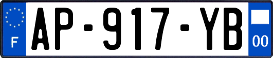 AP-917-YB