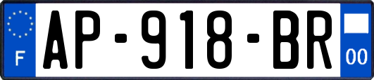AP-918-BR