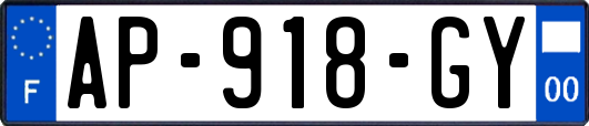 AP-918-GY