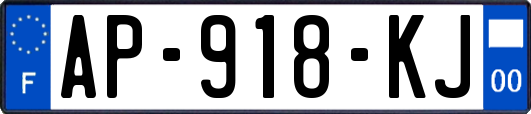 AP-918-KJ