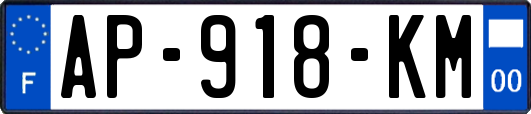 AP-918-KM