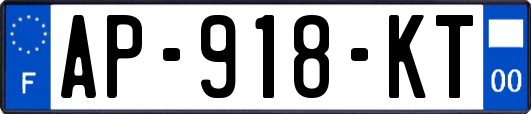 AP-918-KT
