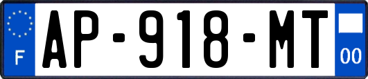 AP-918-MT