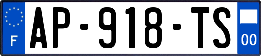 AP-918-TS