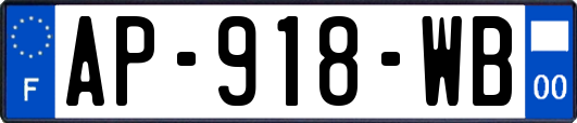 AP-918-WB