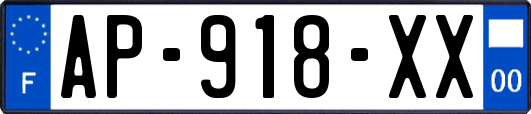 AP-918-XX