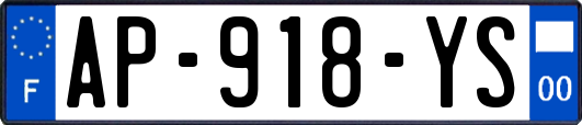 AP-918-YS