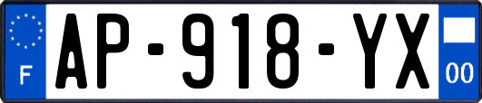 AP-918-YX