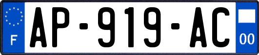 AP-919-AC