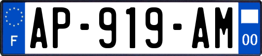 AP-919-AM