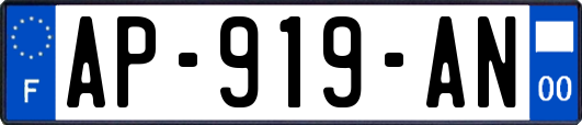 AP-919-AN