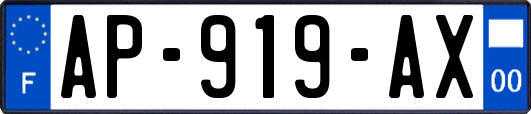 AP-919-AX