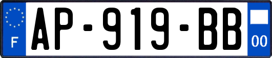 AP-919-BB