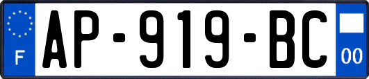 AP-919-BC