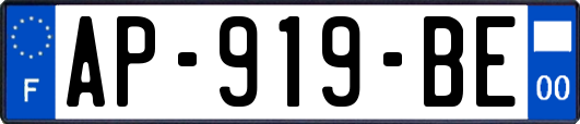 AP-919-BE