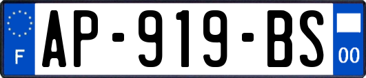 AP-919-BS