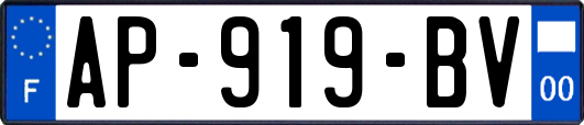 AP-919-BV