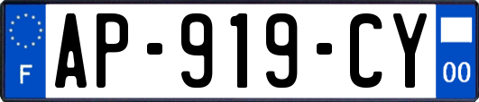 AP-919-CY