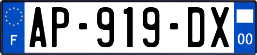AP-919-DX