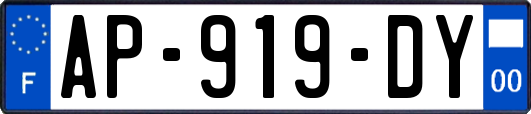 AP-919-DY