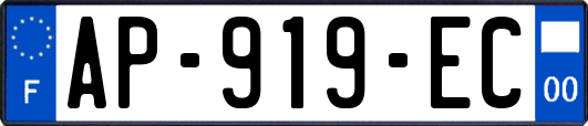 AP-919-EC