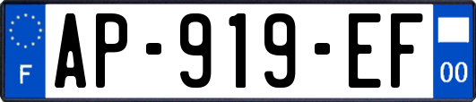 AP-919-EF