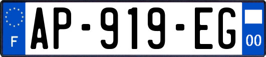 AP-919-EG