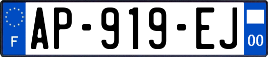 AP-919-EJ