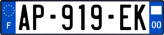 AP-919-EK