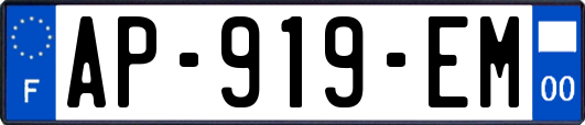 AP-919-EM