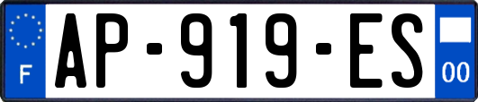 AP-919-ES