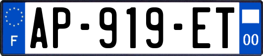 AP-919-ET