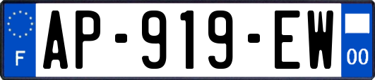 AP-919-EW