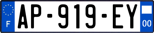 AP-919-EY