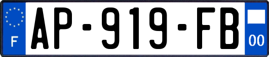 AP-919-FB
