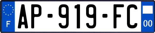 AP-919-FC