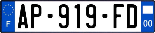 AP-919-FD
