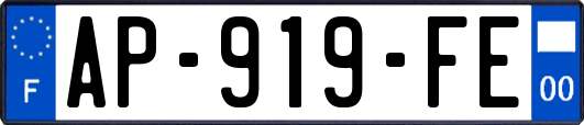 AP-919-FE