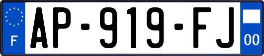 AP-919-FJ