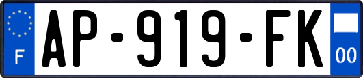 AP-919-FK