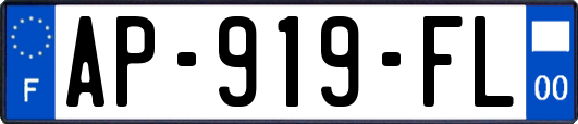 AP-919-FL