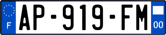AP-919-FM