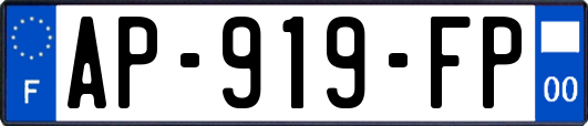 AP-919-FP