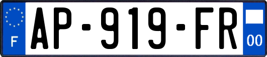 AP-919-FR