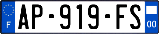 AP-919-FS