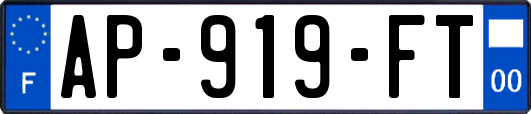 AP-919-FT