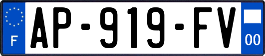 AP-919-FV