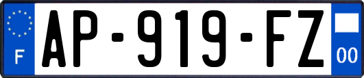 AP-919-FZ